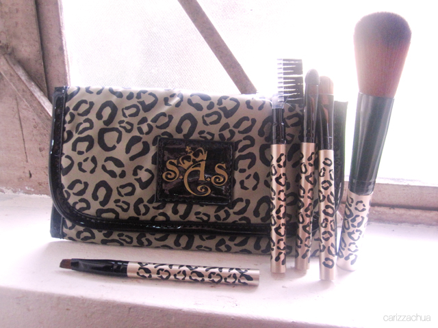 What’s on my table? Leopard Brush Kit